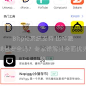 Bitpie系统支持 比特派钱包安全吗？专家详解其全面优势