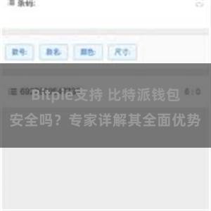 Bitpie支持 比特派钱包安全吗？专家详解其全面优势