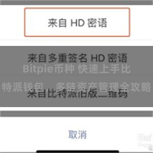 Bitpie币种 快速上手比特派钱包，多链资产管理全攻略