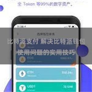 比特派支付 解决比特派钱包使用问题的实用技巧