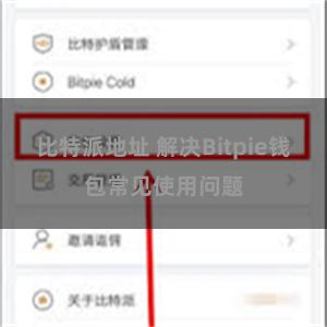 比特派地址 解决Bitpie钱包常见使用问题