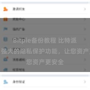 Bitpie备份教程 比特派钱包：强大的隐私保护功能，让您资产更安全