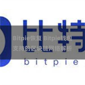 Bitpie恢复 Bitpie钱包支持的区块链网络解析