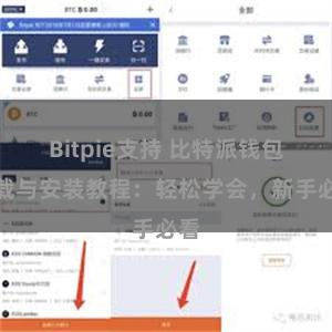 Bitpie支持 比特派钱包下载与安装教程：轻松学会，新手必看