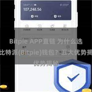 Bitpie APP直链 为什么选择比特派(Bitpie)钱包？五大优势揭秘