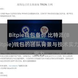 Bitpie钱包备份 比特派(Bitpie)钱包的团队背景与技术实力