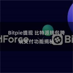 Bitpie提现 比特派钱包跨境支付功能揭秘
