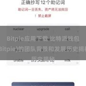 Bitpie应用下载 比特派钱包(Bitpie)的团队背景和发展历史揭秘