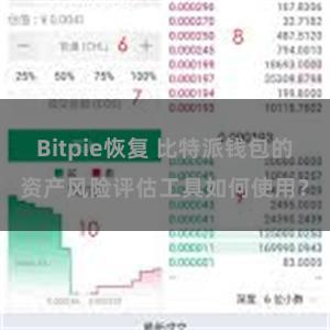 Bitpie恢复 比特派钱包的资产风险评估工具如何使用？