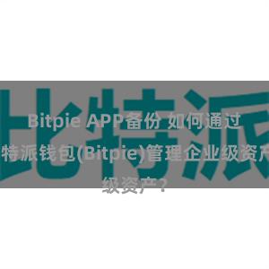 Bitpie APP备份 如何通过比特派钱包(Bitpie)管理企业级资产？