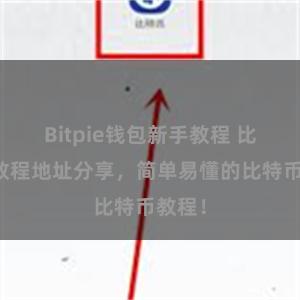 Bitpie钱包新手教程 比特派教程地址分享，简单易懂的比特币教程！