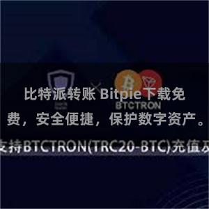 比特派转账 Bitpie下载免费，安全便捷，保护数字资产。