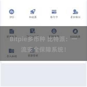 Bitpie多币种 比特派：一流安全保障系统！