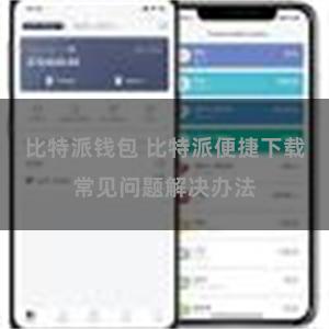 比特派钱包 比特派便捷下载常见问题解决办法