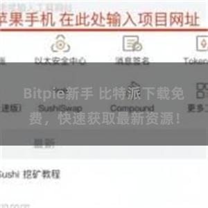 Bitpie新手 比特派下载免费，快速获取最新资源！
