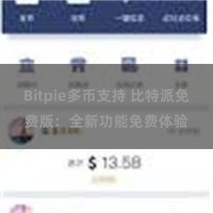Bitpie多币支持 比特派免费版：全新功能免费体验