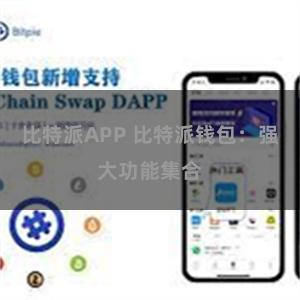 比特派APP 比特派钱包：强大功能集合