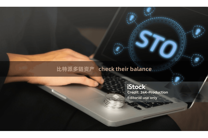 比特派多链资产   check their balance